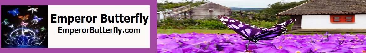 EmperorButterfly.com